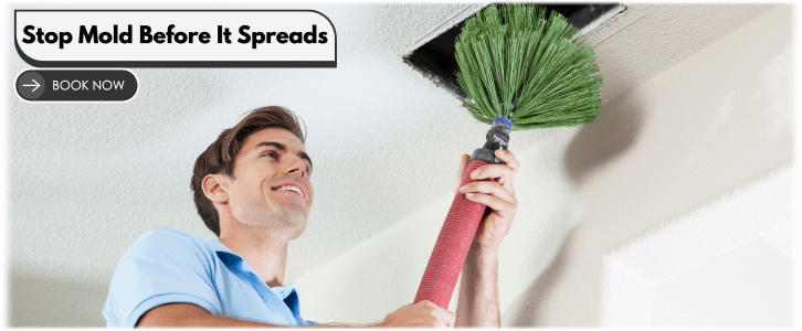 Air Duct Mold Removal in Fort Worth