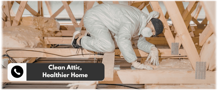 Attic Cleaning Fort Worth